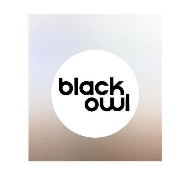 Black Owl ( H24 )